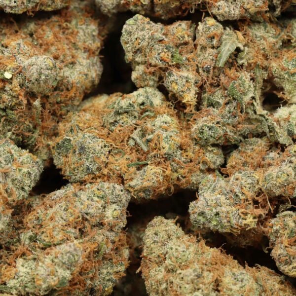 9-pound-hammer-w.jpg 9 Pound Hammer