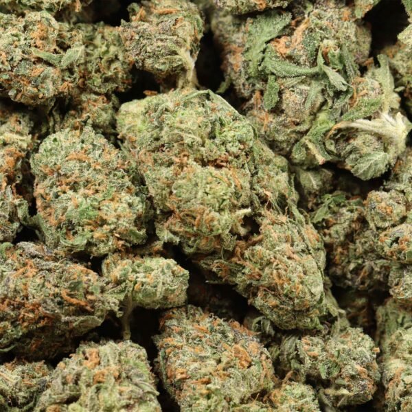 94-Monkey-w.jpg 94 Monkey