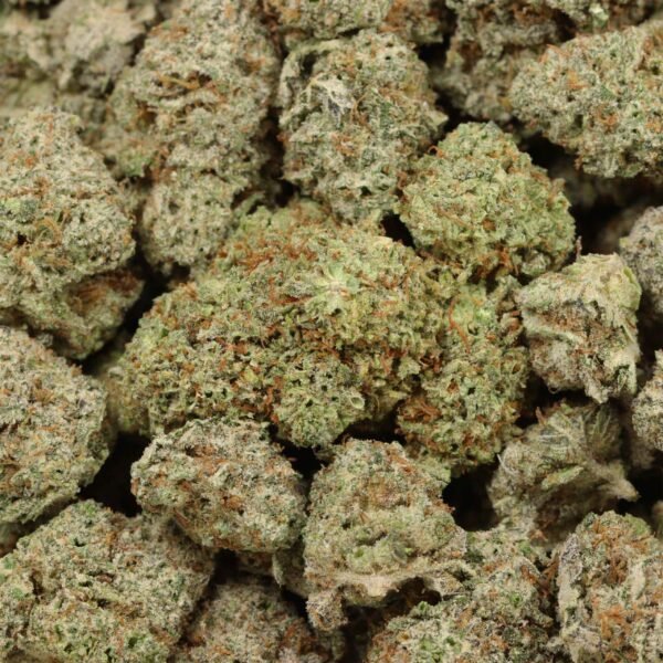 Ace-killer-og-w.jpg Ace Killer OG