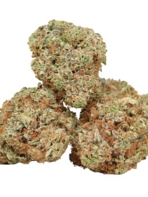 Afghani-pink-strain.jpg Afghani Pink