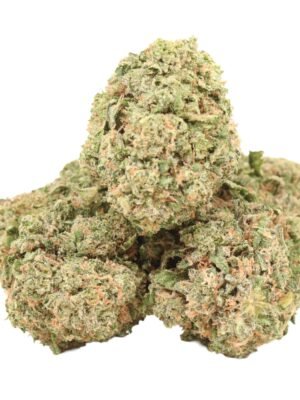 Alien-cookies-strain.jpg Alien Cookies