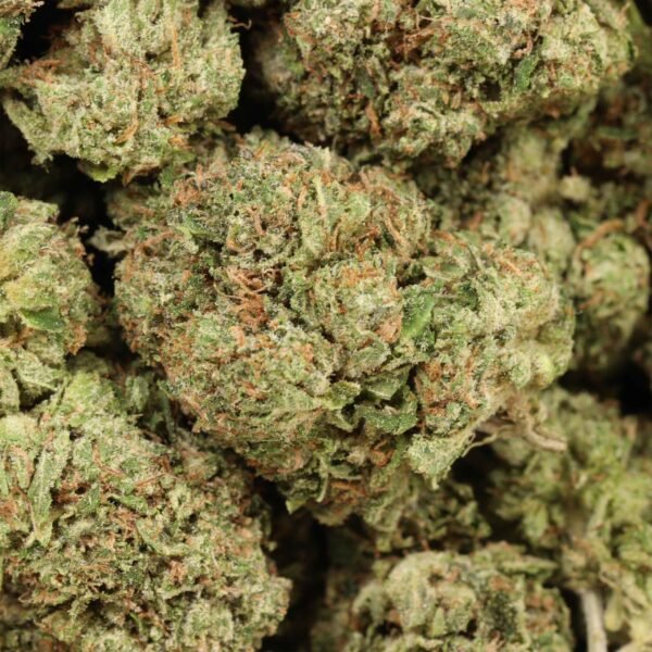 Alien-cookies-w.jpg Alien Cookies