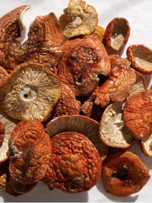 Amanita-Muscaria-Mushrooms.png Amanita Muscaria Mushroom