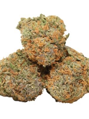 Atomic-blueberry-strain-1.jpg Atomic Blueberry