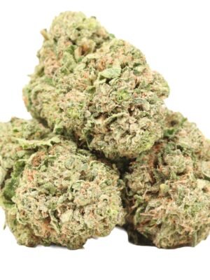 Bc-pink-strain.jpg BC Pink Kush