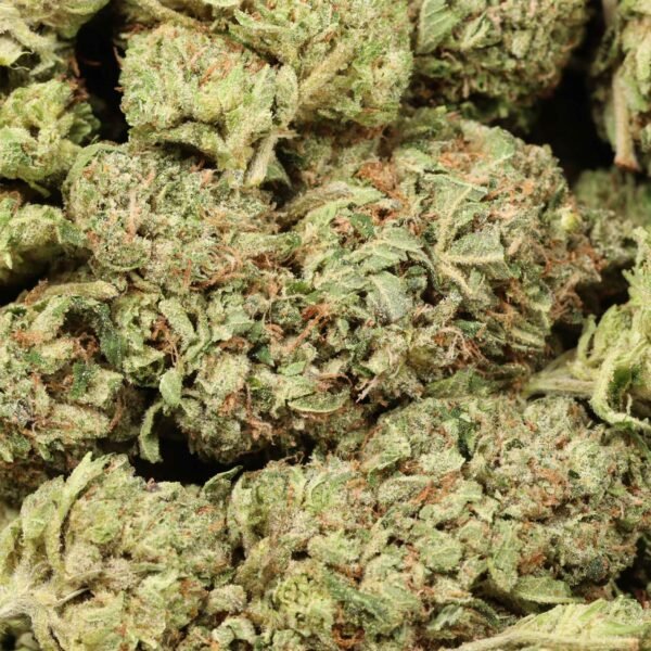 Bc-pink-w.jpg BC Pink Kush