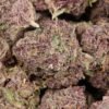 Black-chery-og-w.jpg Black Cherry OG