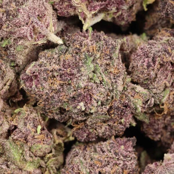Black-chery-og-w.jpg Black Cherry OG