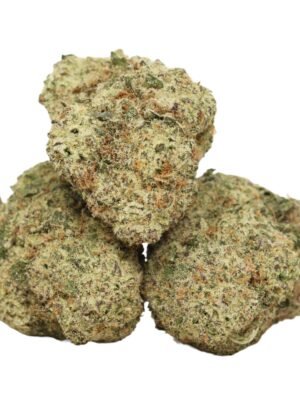 Black-kush-strain.jpg Black Kush
