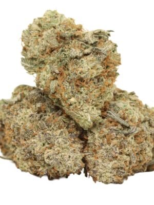 Black-tuna-strain.jpg Black Tuna