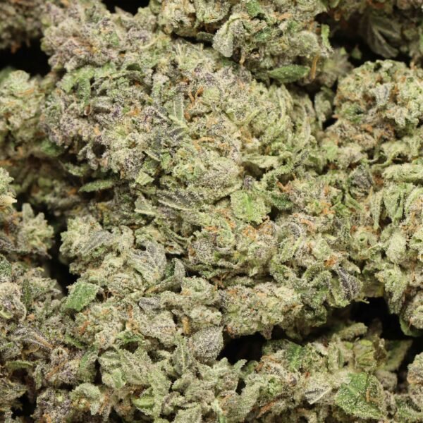 Blue-hawaiian-craft-w.jpg Blue Hawaiian AAAA+ Hybrid Craft