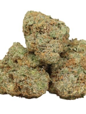 Blue-king-strain.jpg Blue King