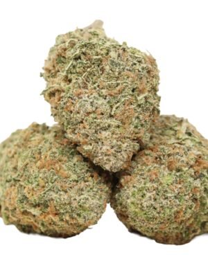 Blue-lemon-strain.jpg Blue Lemon