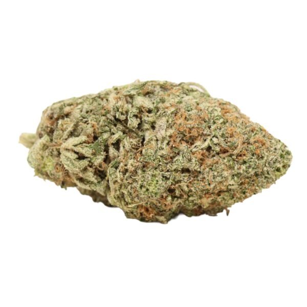 Blue-lemon-weed.jpg Blue Lemon