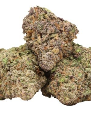 Butterscotch-strain.jpg Butterscotch