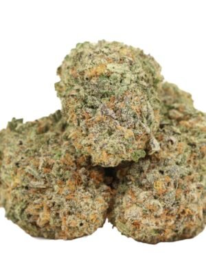 Caviar-Pink-strain.jpg Caviar Pink Kush