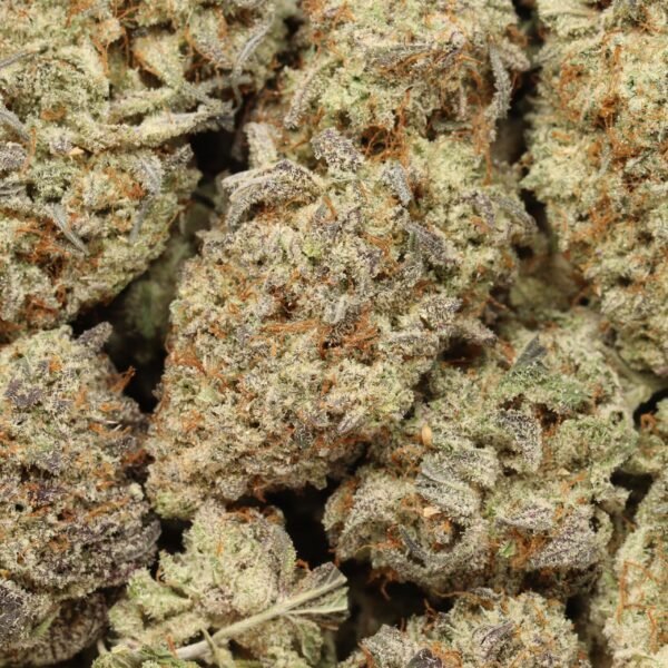 Cereal-milk-w.jpg Cereal Milk