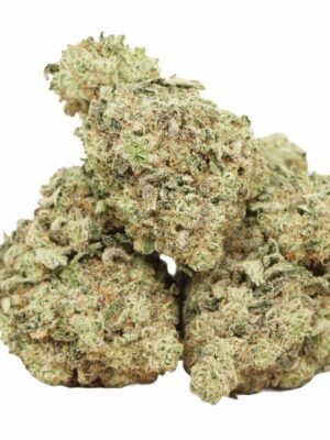 Comatose-og-strain-1.jpg Comatose