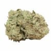 Comatose-og-weed-1.jpg Comatose