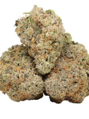 Dank-sinatra-strain-1.jpg Dank Sinatra
