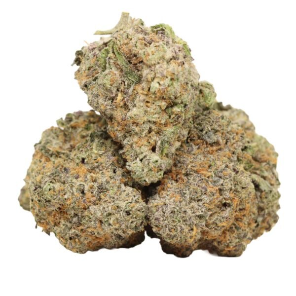Dank-sinatra-strain-1.jpg Dank Sinatra