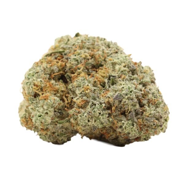 Donkey-butter-weed-1.jpg Donkey Butter