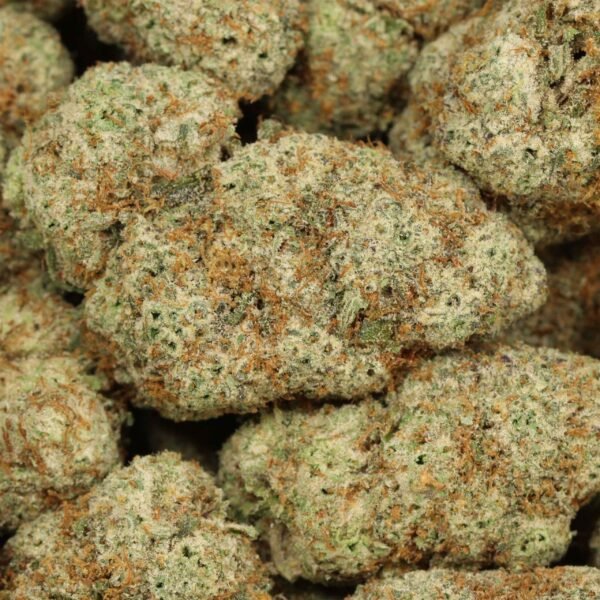 Dosido-w.jpg Do Si Do