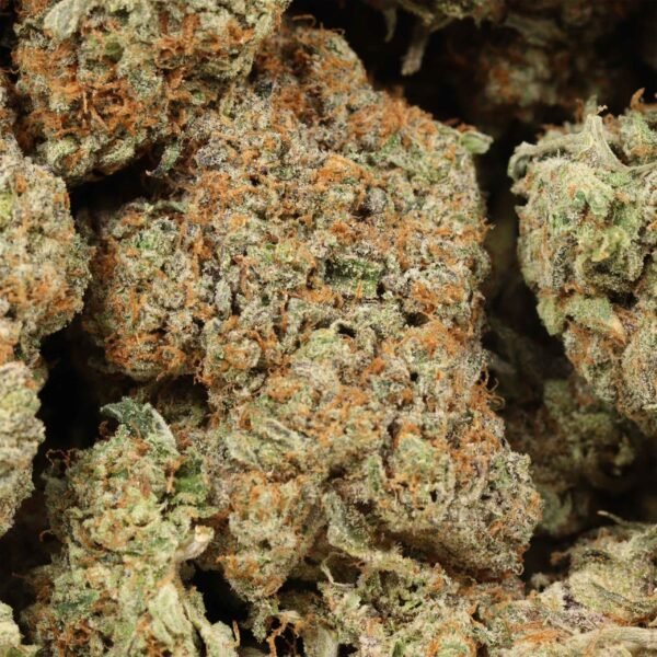 Gelato33-w.jpg Gelato #33