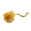 Goldie-Magic-Mushrooms.jpg Goldie Magic Mushrooms