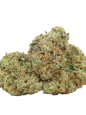 Gorilla-zkittles-strain.jpg Gorilla Zkittles