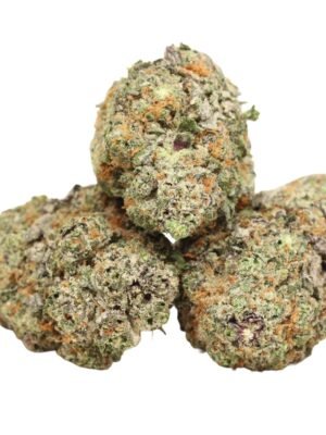 Grandaddy-purple-strain.jpg Grand Daddy Purple