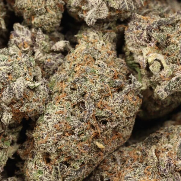 Grape-cake-craft-w-1.jpg Grape Cake AAAA+ Hybrid Craft