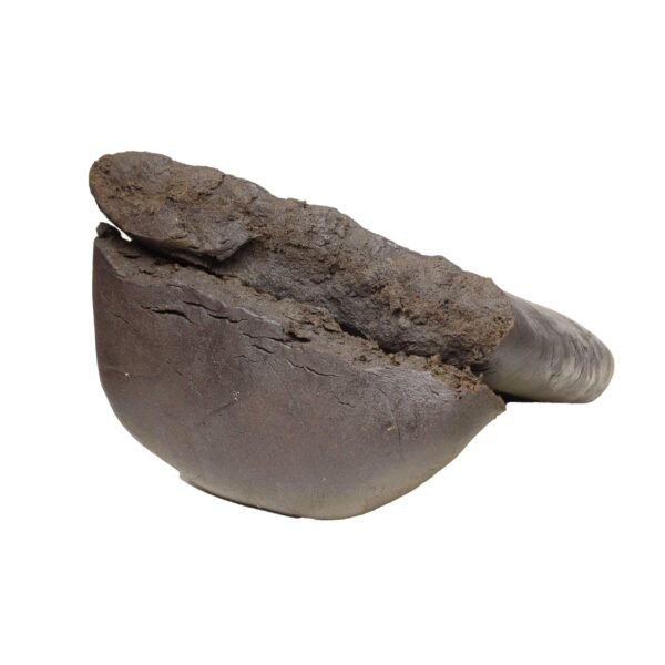 Kabul-gold-hash-wholesale.jpg Kabul Gold Hash