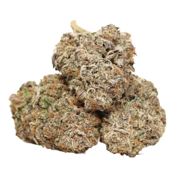 Kombucha-craft-strain-1.jpg Kombucha AAAA+ Hybrid Craft