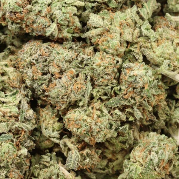 La-ultra-w.jpg LA Ultra