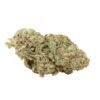 Lemon-sour-diesel-weed.jpg Lemon Sour Diesel