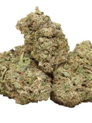 London-truffle-strain.jpg London Truffle