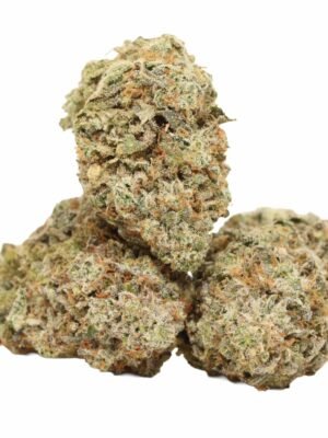 Mango-kush-strain-1.jpg Mango Kush