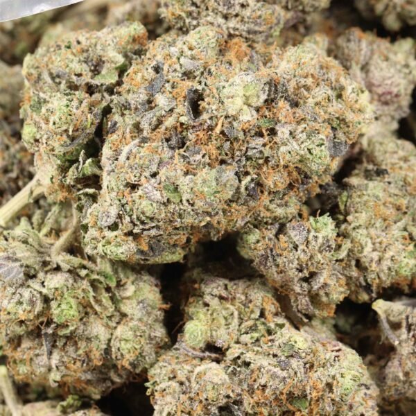 Mike-tyson-og-w.jpg Mike Tyson OG