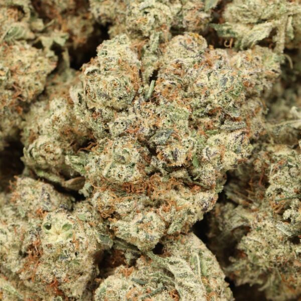 Mk-ultra-w.jpg MK Ultra