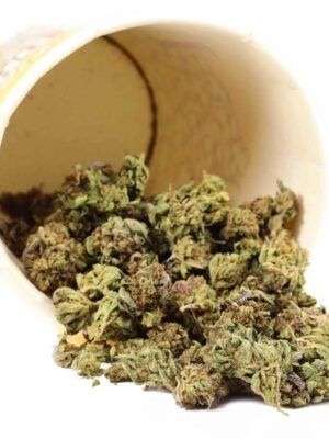 Buy Mixed Popcorn-Sized Buds /oz *PROMO* Mixed Strain (POPCORN)