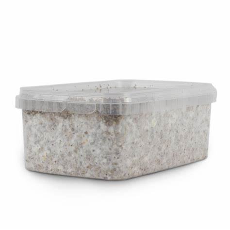 PSILOCYBE-CUBENSIS-CAMBODIAN-MAGIC-MUSHROOM-GROWING-KIT1.jpg CAMBODIAN MAGIC MUSHROOM GROW KIT