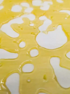Pineapple-Express-Shatter.webp Pineapple Express Shatter