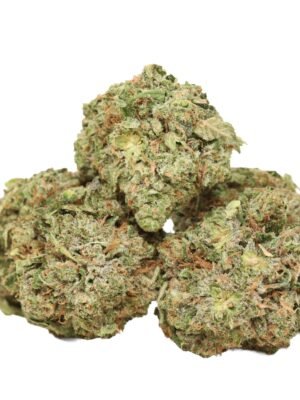 Pink-death-strain-1.jpg Pink Death