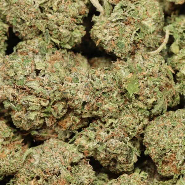 Pink-death-w-1.jpg Pink Death