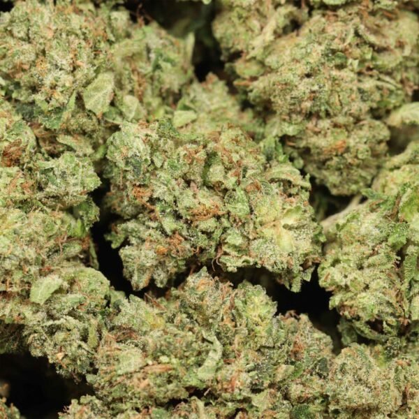 Pink-poncho-w.jpg Pink Poncho