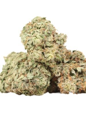 President-pink-strain.jpg Presidential Pink Kush