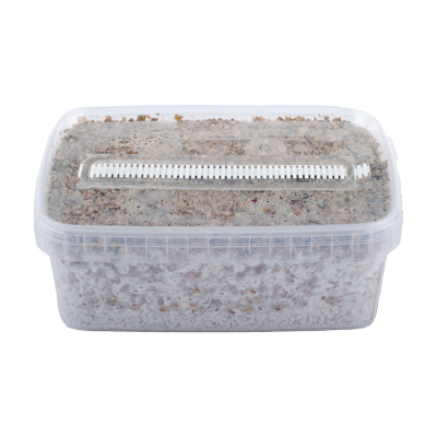 Psilocybe-Cubensis-Hawaiian-Magic-Mushroom-Growing-Kit1.png HAWAIIAN MAGIC MUSHROOM GROW KIT