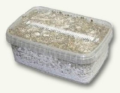 Psilocybe-Cubensis-Thai-Magic-Mushroom-Growing-Kit1.jpg THAI MAGIC MUSHROOM GROW KIT
