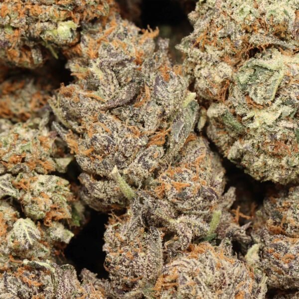 Rainy-lady-w.jpg Rainy Lady